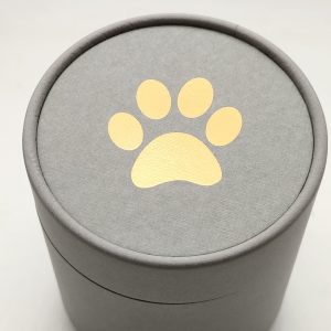 Cartón Biodegradable gris